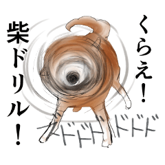 Take this! Shiba Drill!