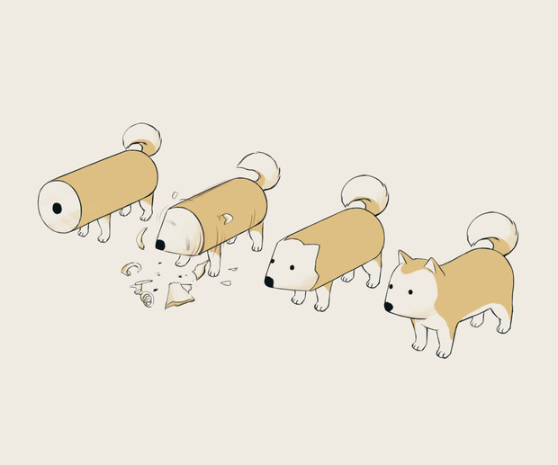 Shiba evolution