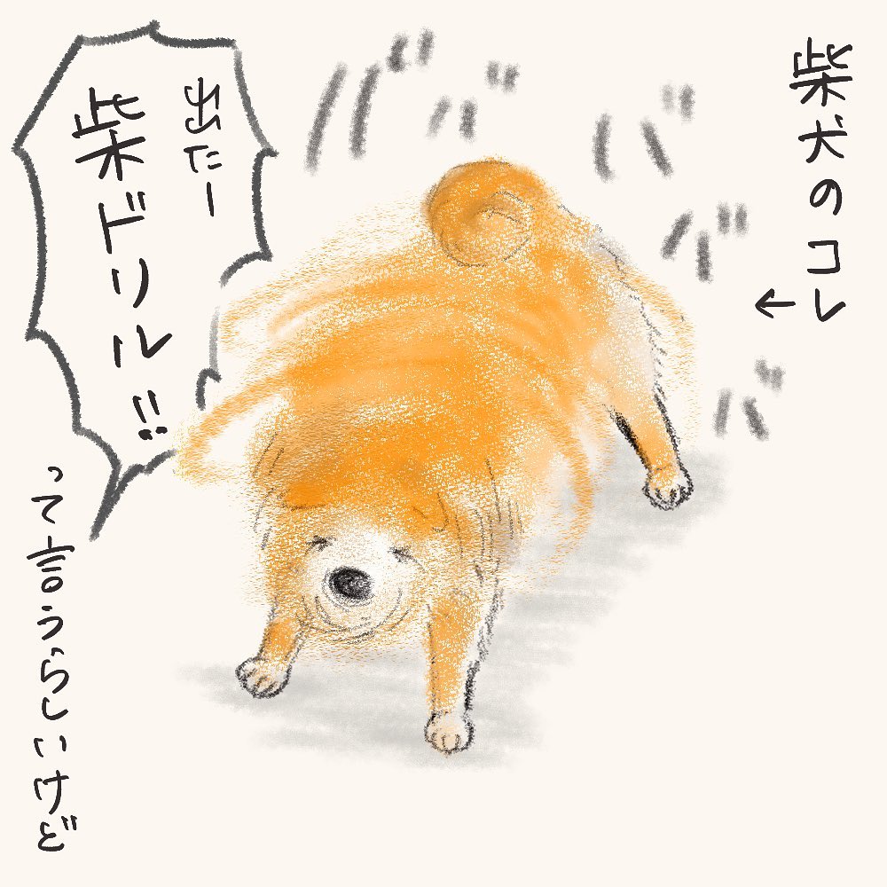It's called Shiba Drill 柴ドリル
